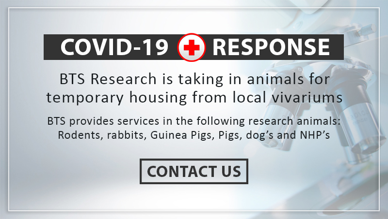 covid-19 temporary housing